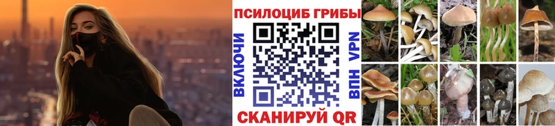 где можно купить   Иннополис  Псилоцибиновые грибы Cubensis 
