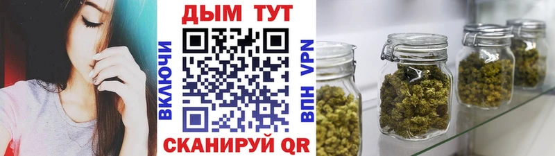 Марихуана OG Kush  Иннополис 